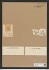 Diatomeae indet. Zeichnungen Sammlung Grunow Nr. 6887 (NHMW-BOT-W0375751)
